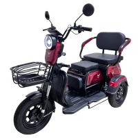 Электротрицикл YASMAND D12 Li-ion красный