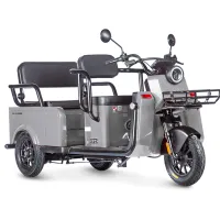 Электротрицикл Wanshida LC-F200 60V 1000Вт