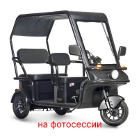 Электротрицикл Wanshida NIPLA 570 60V 1000Вт Зеленый